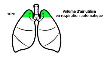 Respiration