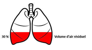 Respiration