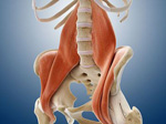 Étirement du psoas