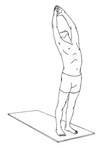 Yoga / Salutation au soleil