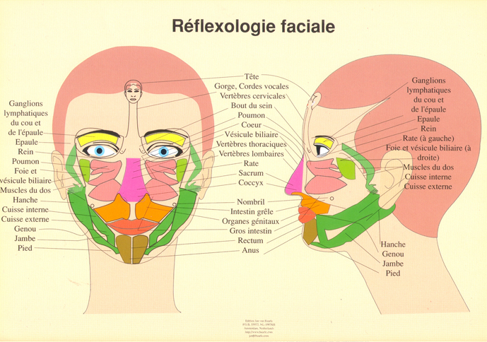Réflexologie faciale