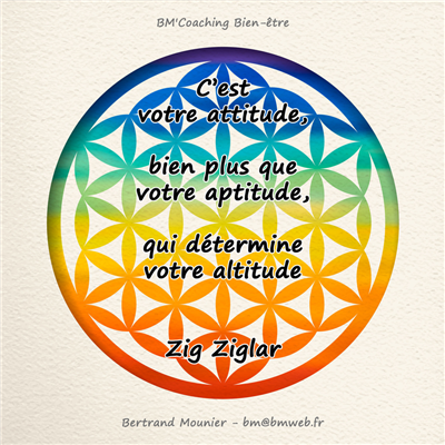 C'est votre attitude, bien plus que votre aptitude, qui détermine votre altitude — Zig Ziglar